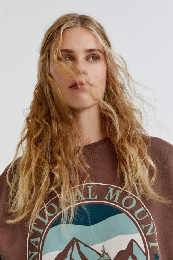 Brown Mountain Graphic Sweatshirt - Görsel 3